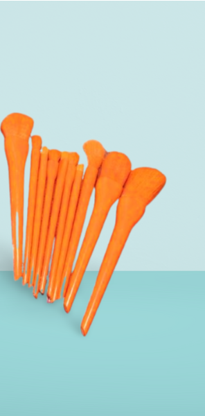 10 Pcs Professional Makeup Brush Set HHC