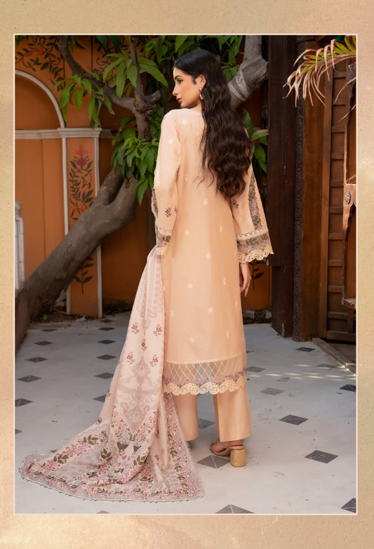 Munira Vol 48, D05