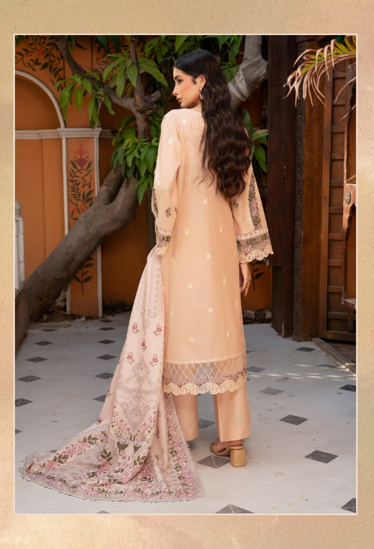 Munira Vol 48, D05 Munira