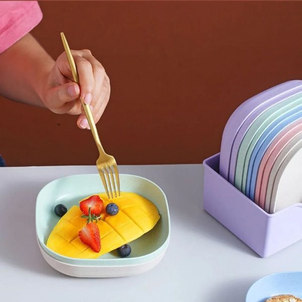 Food Grade Plastic Household Dining Plates YMDS