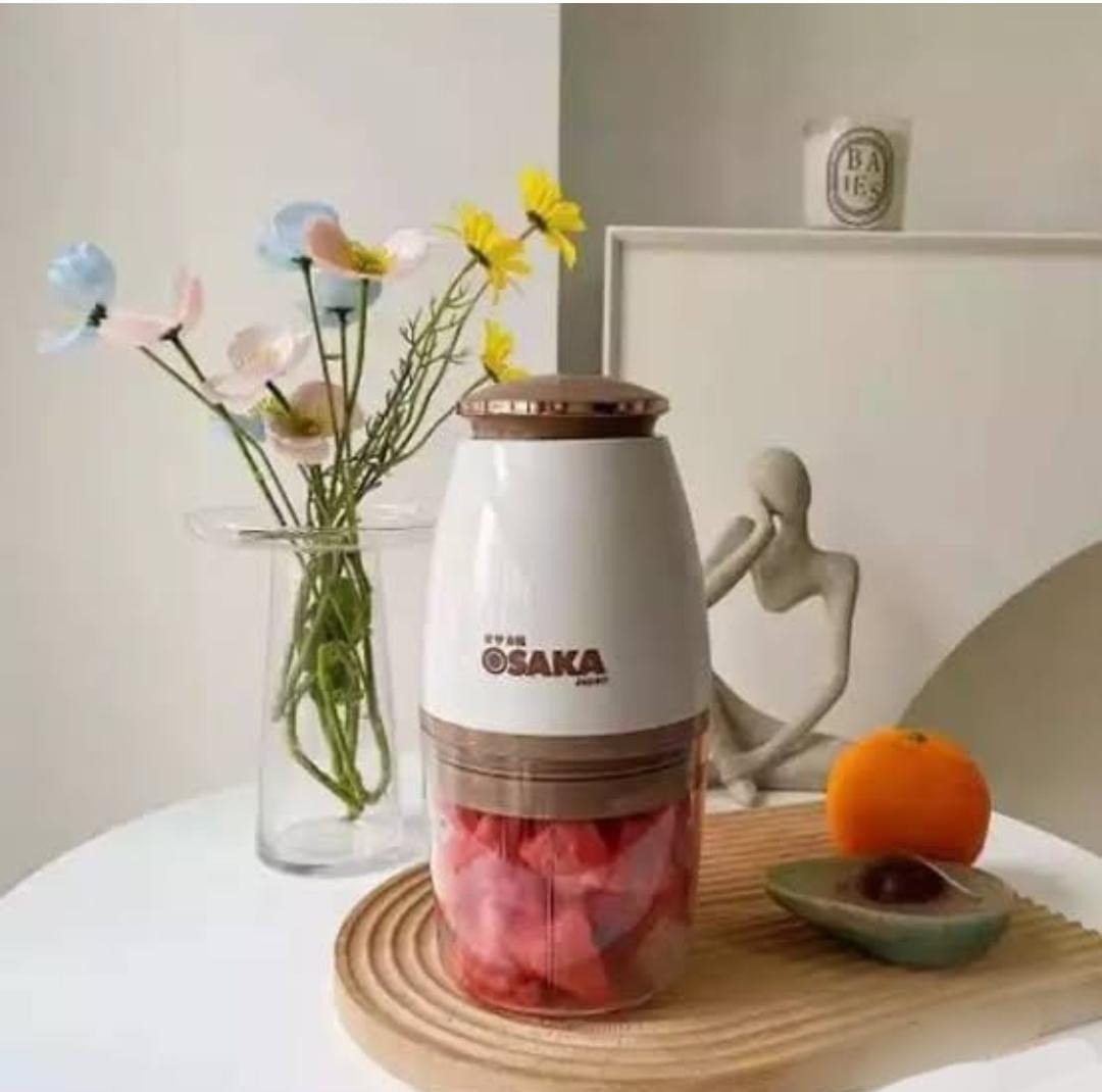 Osaka Multi-Purpose Electric Meat Grinder 700ml Food Processor for Kitchen ARDS