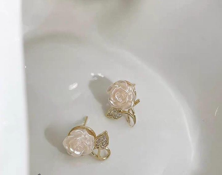 Flower Leaf Korean Zircon Earrings HHC