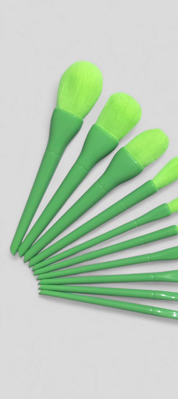 10 Pcs Professional Makeup Brush Set HHC