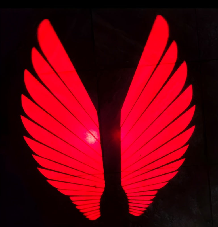 Angel Wings LED Bike Light for Motorcycles &amp; Bikes HHC