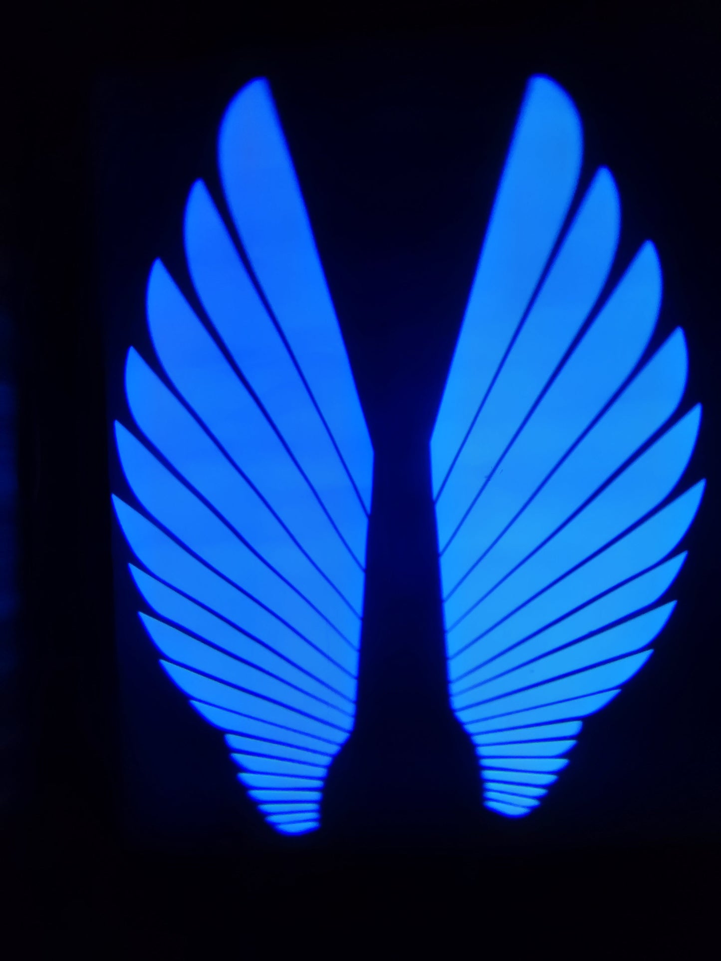 Angel Wings LED Bike Light for Motorcycles &amp; Bikes HHC