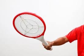 Electric Fly Swatter ARDS
