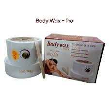 Body Wax | Pro Wax Heater — Unmovable Bucket HHC