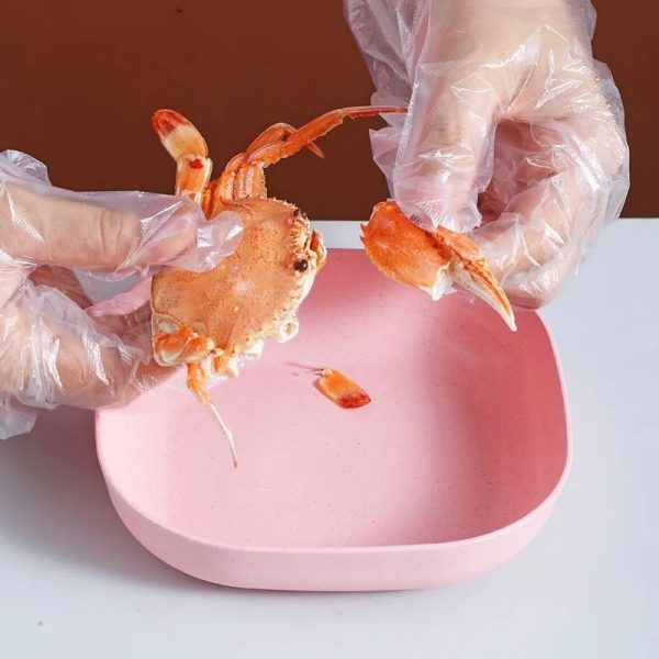 Food Grade Plastic Household Dining Plates YMDS