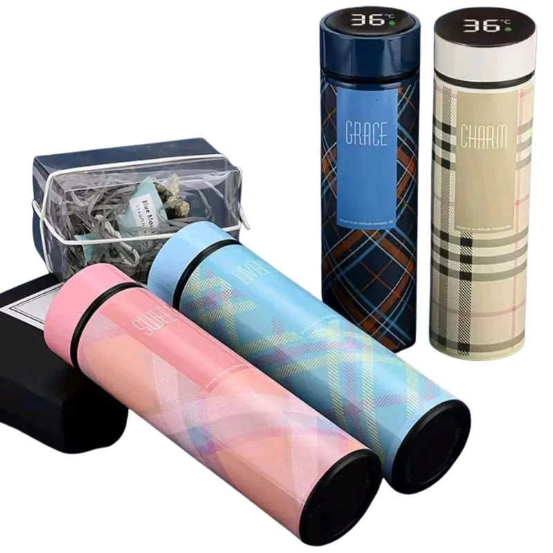 LED Temperature Display Water Bottle YMDS
