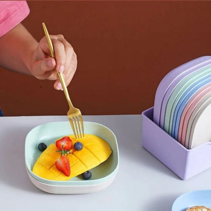 Food Grade Plastic Household Dining Plates YMDS